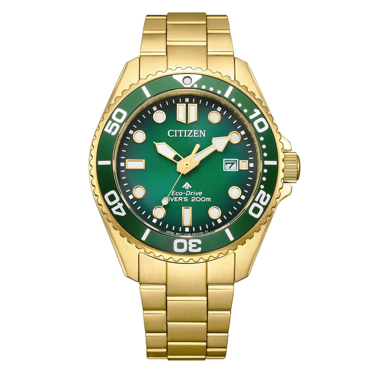 Citizen Promaster Eco-Drive Diver BN0262-59W