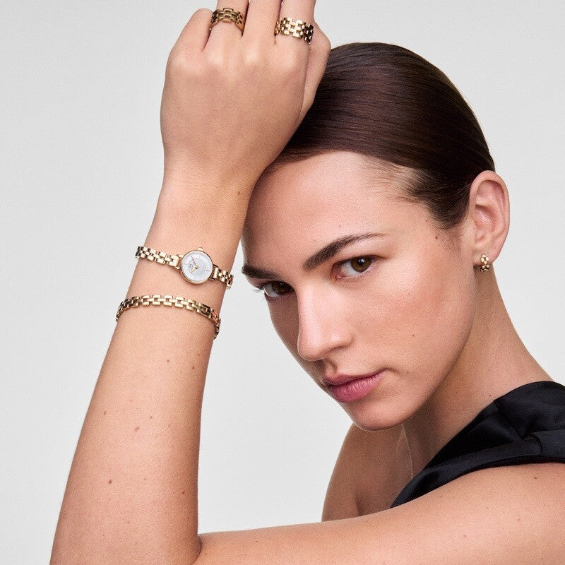 Daniel Wellington Petite Mini 3-link DW00100855