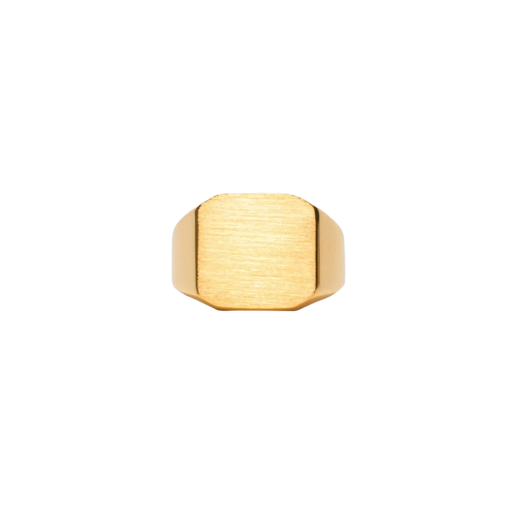 IX Studios Octacon Signet ring DMN0290GD