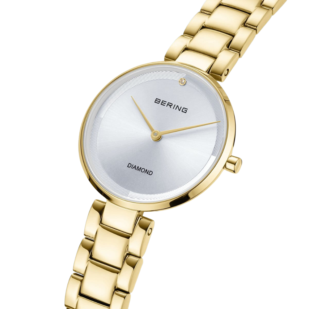 Bering Classic 17529-730