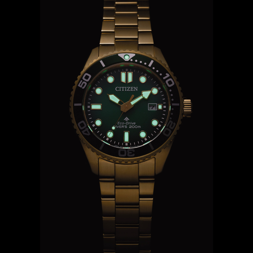 Citizen Promaster Eco-Drive Diver BN0262-59W