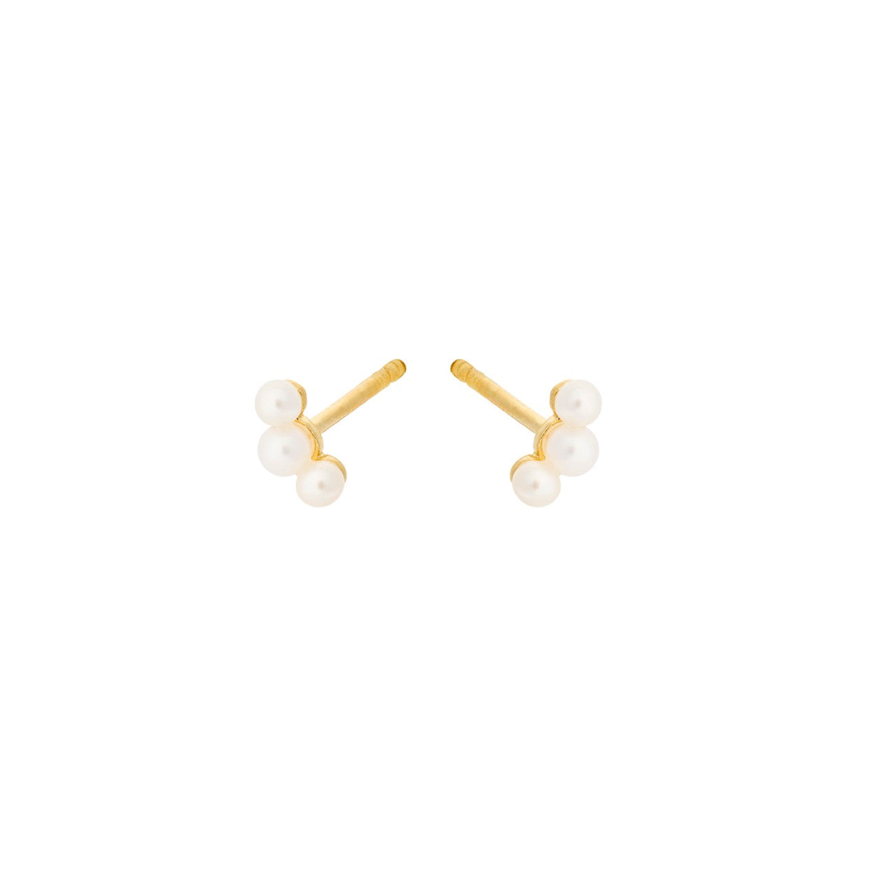 Pernille Corydon Ocean Pearl øreringe E-433-GP