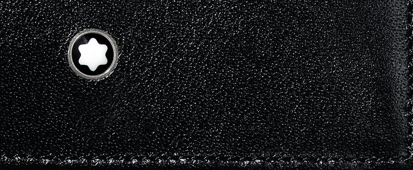 Mont Blanc Meisterstück pung 7164