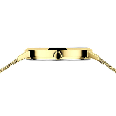 Bering Classic 13434-333