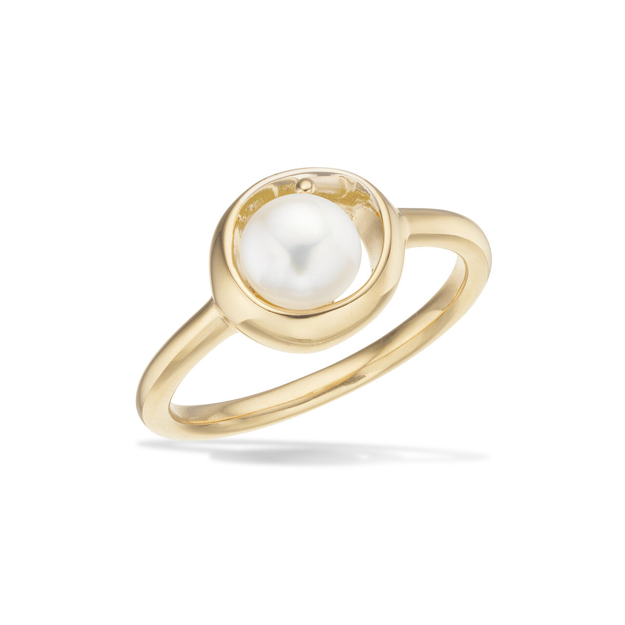Scrouples ring 730672