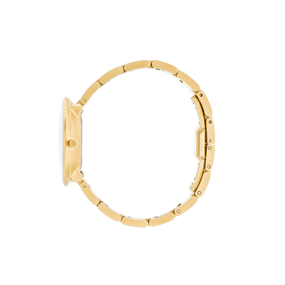 Arne Jacobsen Bankers 34mm 53109-1629