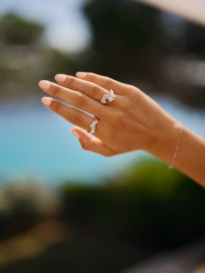 Camille Brinch Flare Zebra ring FZR