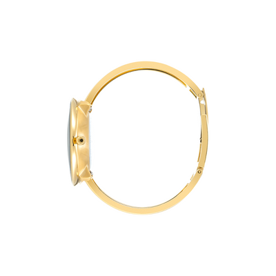 Arne Jacobsen Bankers 34mm 53109-1619