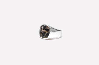 IX Studios Cushion Signet ring Turtle Agate DMN0282SLTA