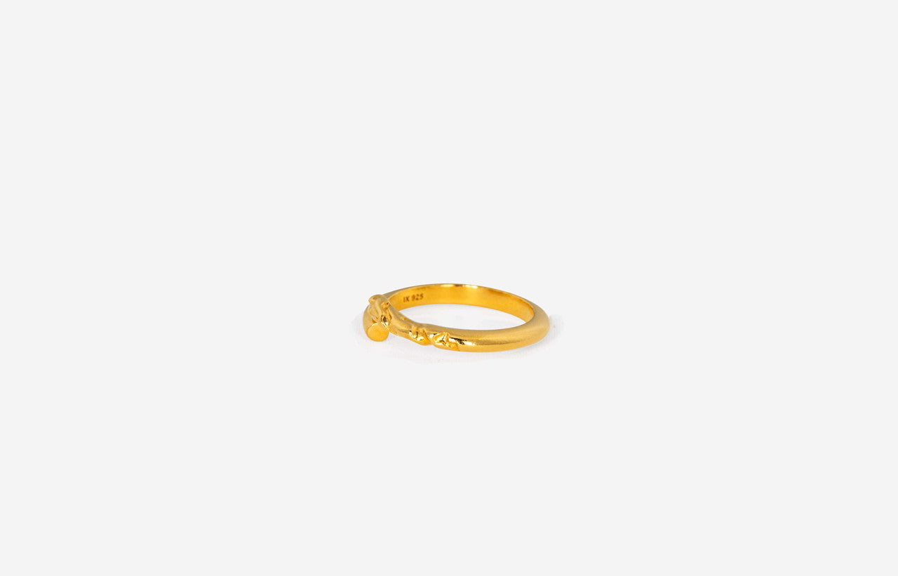 IX Studios Rustic Twist ring DMN0324GD