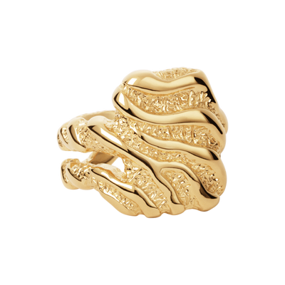 Camille Brinch Store Zebra ring LZR-FG