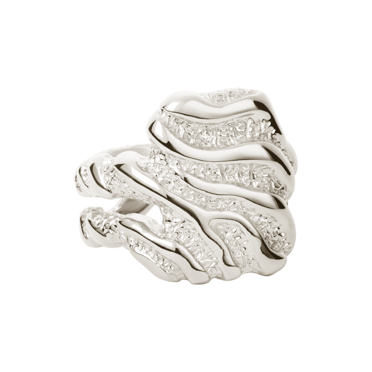 Camille Brinch Store Zebra ring LZR