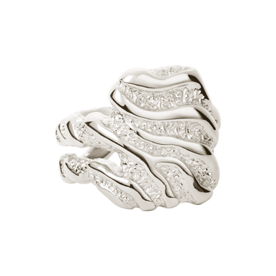 Camille Brinch Store Zebra ring LZR