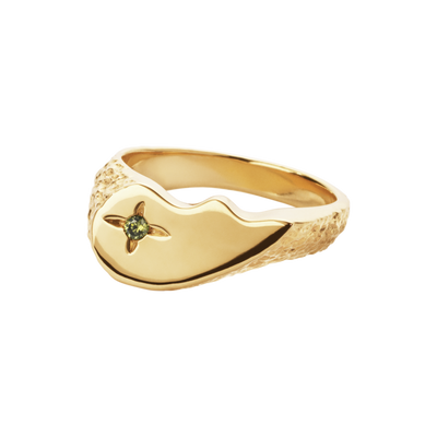 Camille Brinch Shiny BFF Sparkly ring SBSPR-FG