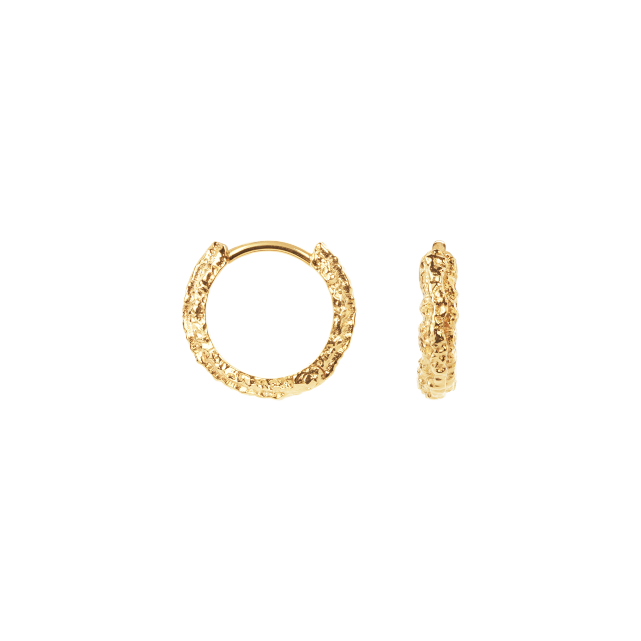 Camille Brinch Small Sparkly Hoops øreringe SSPH-FG