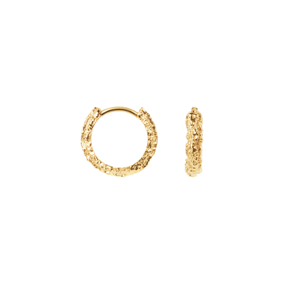 Camille Brinch Small Sparkly Hoops øreringe SSPH-FG