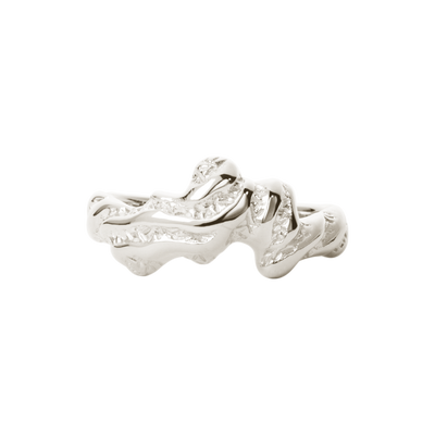 Camille Brinch Sway Zebra ring SWZR