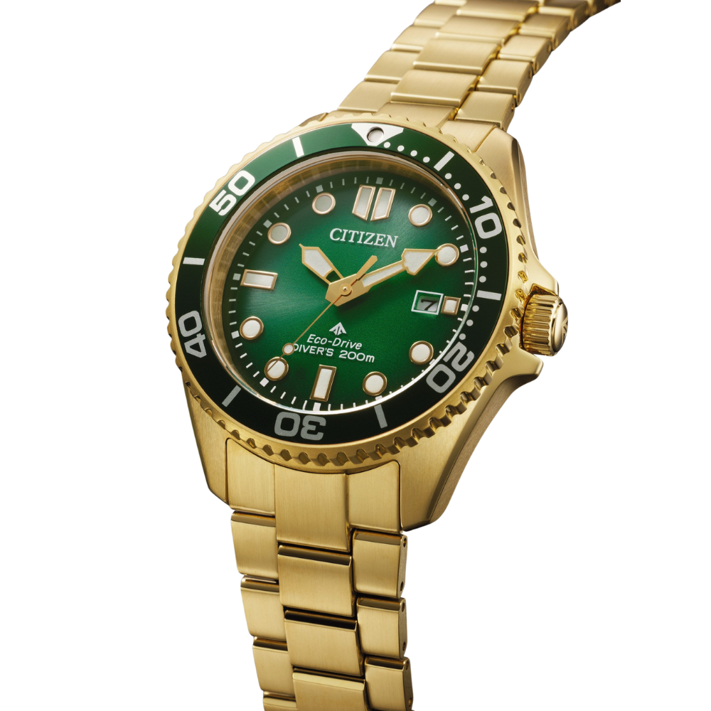 Citizen Promaster Eco-Drive Diver BN0262-59W