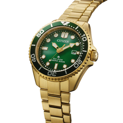 Citizen Promaster Eco-Drive Diver BN0262-59W