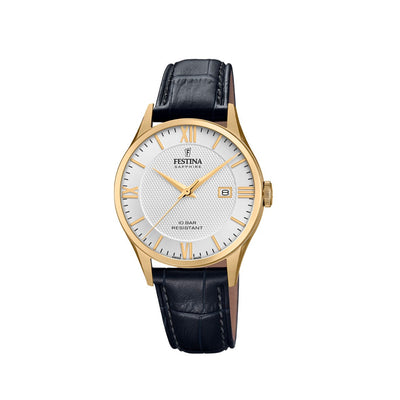 Festina Swiss Made Collection F20010/2