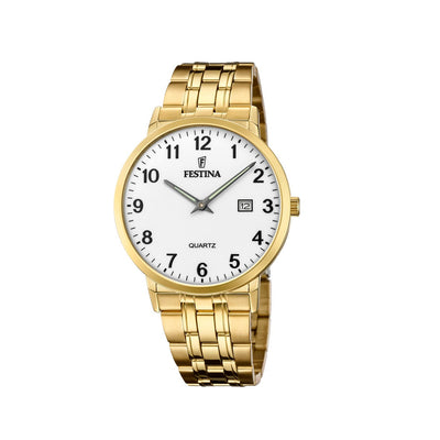 Festina Classic F20513/1